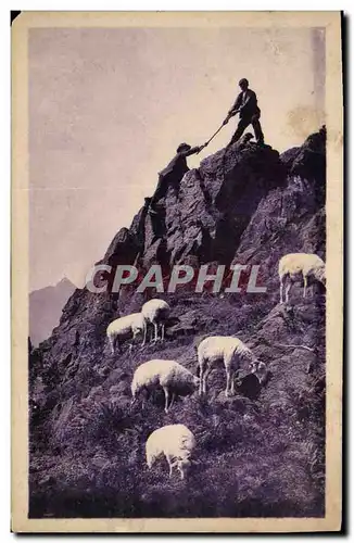 Ansichtskarte AK Pyrenees Une escalade en montagne Moutons