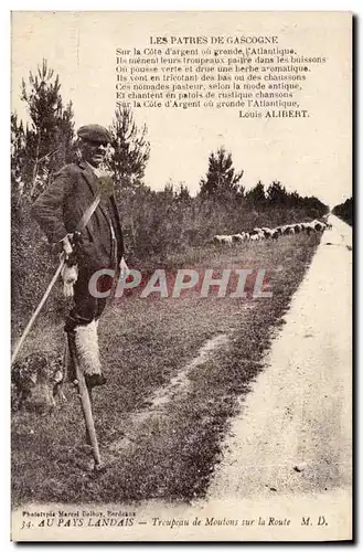 Ansichtskarte AK Folklore Au Pays Landais Troupeau de moutons sur la route