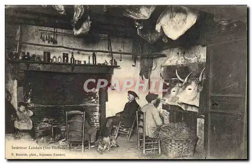 Cartes postales Folklore Interieur landais Boeufs