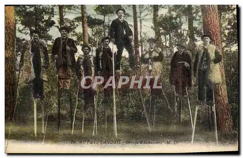 Cartes postales Folklore Au Pays Landais Groupe d&#39echassiers Moutons