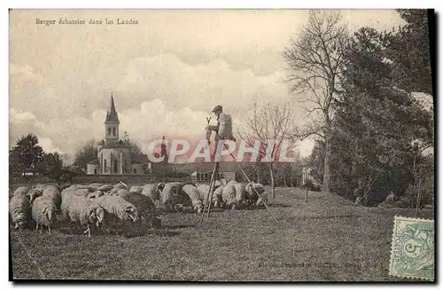 Cartes postales Folklore Berger echassier dans les Landes Moutons