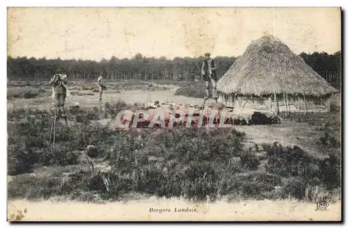 Cartes postales Folklore Berger landais Moutons