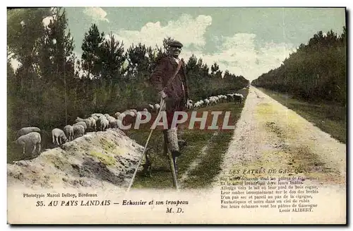 Ansichtskarte AK Folklore Au Pays landais Echassier et son troupeau Moutons