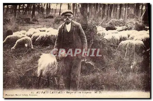 Ansichtskarte AK Folklore Au Pays Landais Berger et son troupeau Moutons