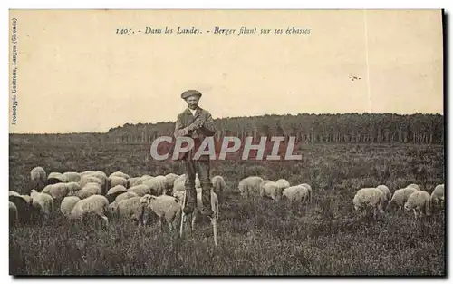 Cartes postales Folklore Dans Les Landes Berger filant sur ses echasses Moutons