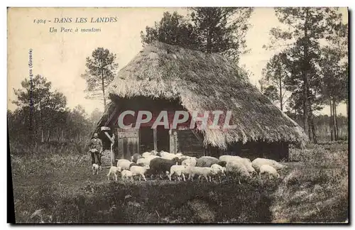 Ansichtskarte AK Folklore Dans les Landes Un parc a moutons