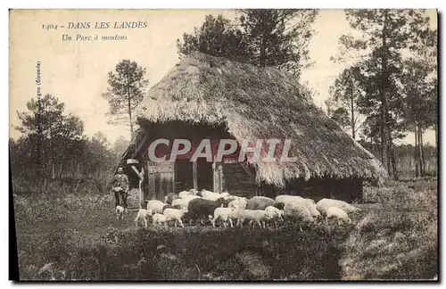 Cartes postales Folklore Dans les Landes Un parc a moutons