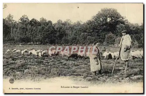 Cartes postales Folklore Echassier et berger landais Moutons