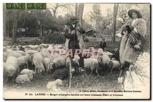 Ansichtskarte AK Folklore Landes Berger et bergere landais sur leurs echasses filant et tricotant Moutons TOP