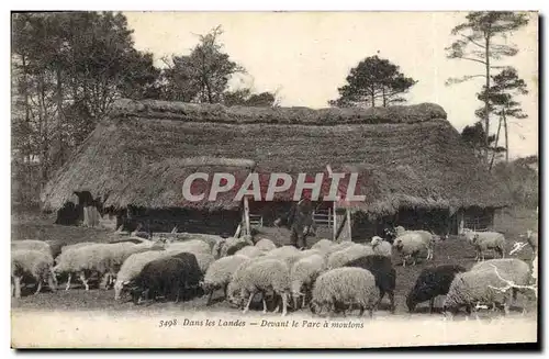 Cartes postales Folklore Dans les Landes Devant le parc a moutons