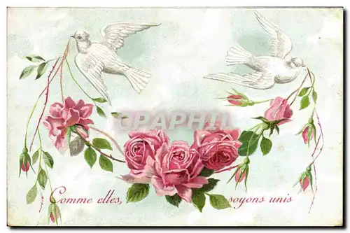 Cartes postales Fantaisie Fleurs Colombes