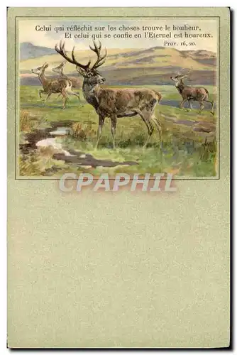 Cartes postales Cerf