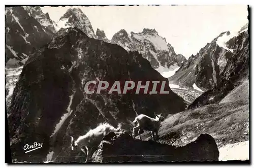 Moderne Karte Chevre