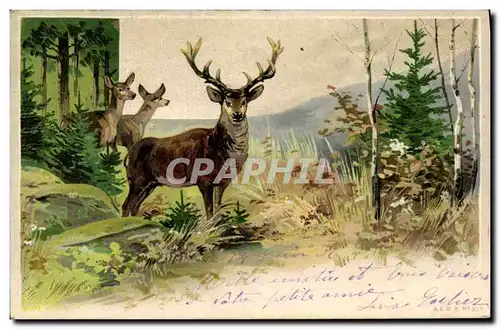 Cartes postales Cerf