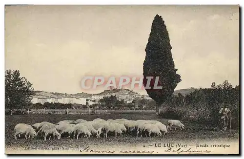 Cartes postales Le Luc Etude artistique Moutons