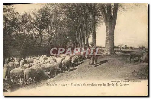 Cartes postales Brignoles Troupeau de moutons sur les bords du Caramy