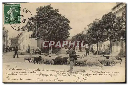 Cartes postales Draguignan Boulevard des Marronniers Moutons