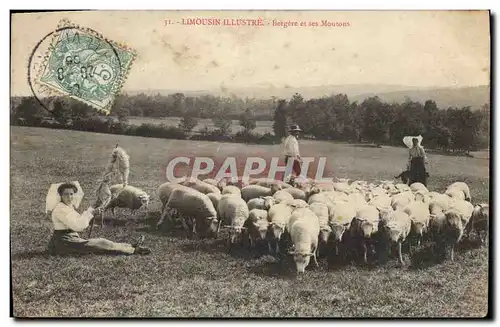 Ansichtskarte AK Limousin Bergere et ses moutons