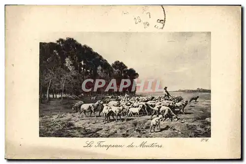 Ansichtskarte AK Le troupeau de moutons