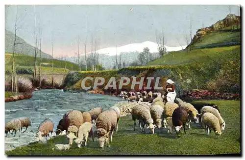 Cartes postales Tableaux Pyrenees Troupeau au paturage