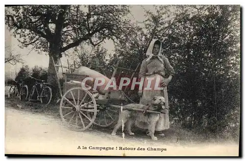 Cartes postales Voiture a chien a la campagne REtour des champs Folklore TOP