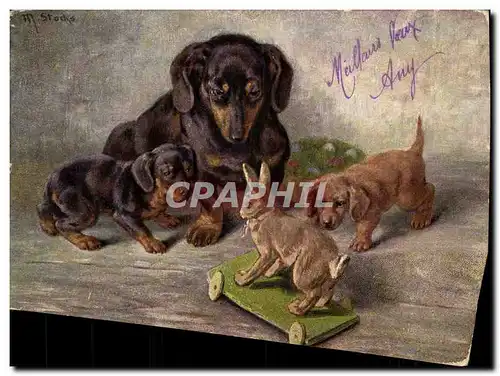 Cartes postales Chien Chiens Basset Lapin