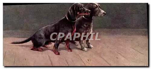 Cartes postales Chien Chiens Basset