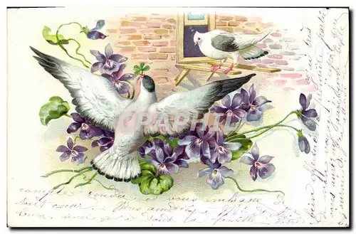 Cartes postales Fantaisie Fleurs Oiseaux