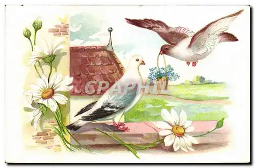 Cartes postales Fantaisie Fleurs Oiseaux