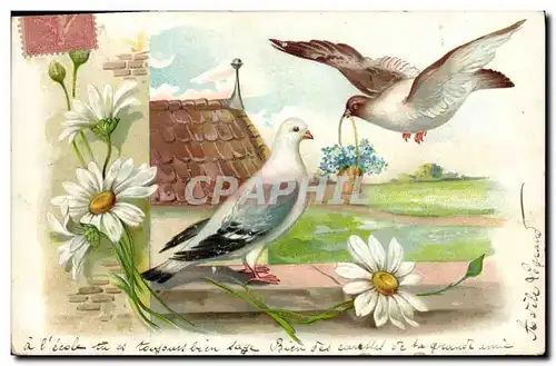 Cartes postales Fantaisie Fleurs Oiseaux