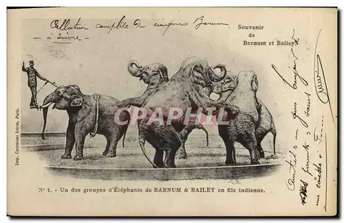 Cartes postales Cirque Barnum & Bailey Un des groupes d&#39elephants TOP Elephant