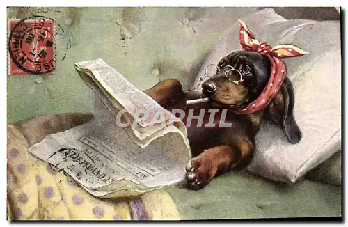 Cartes postales Chien Chiens Basset Journal