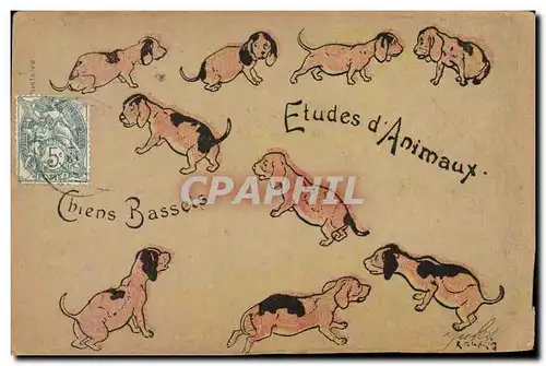 Cartes postales Chien Chiens Basset