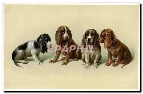 Ansichtskarte AK Chien Chiens Bassets