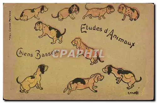 Cartes postales Chien Chiens Bassets