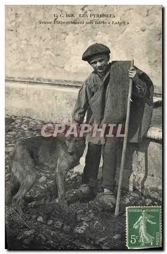 Cartes postales Chien Chiens Les Pyrenees Jeune Patre retenant son fidele Labrit TOP