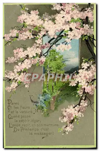 Cartes postales Fantaisie Fleurs