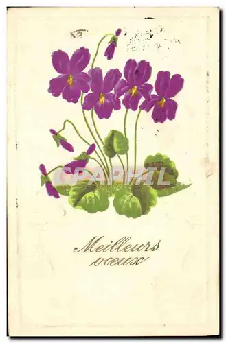 Cartes postales Fantaisie Fleurs