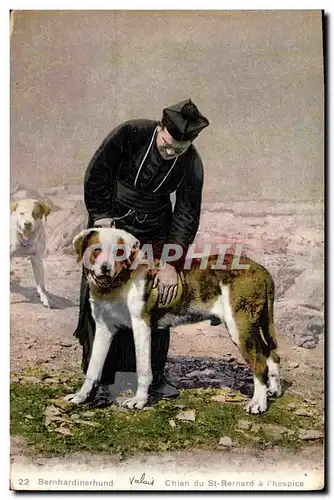 Cartes postales Chiens Chien du St Bernard a l&#39hospice