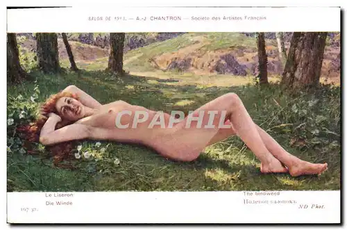 Ansichtskarte AK Erotique Chantron Le liseron