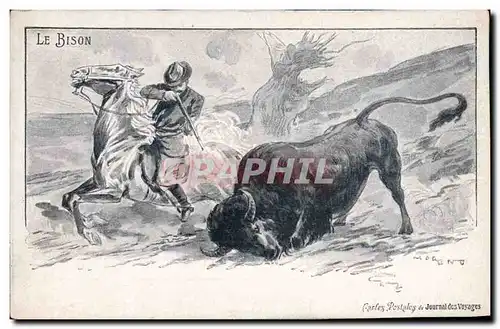 Cartes postales Chasse Le bison