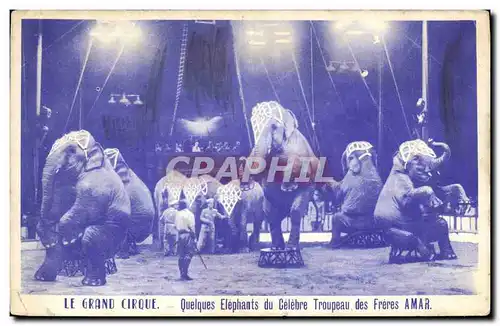 Ansichtskarte AK Le grand Cirque Quelques elephants du celebre troupeau des freres Amar Elephant