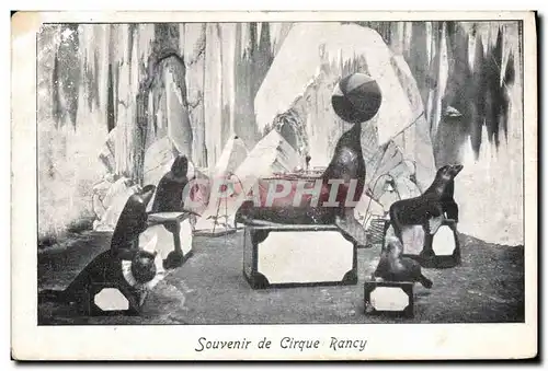 Cartes postales Cirque Rancy Phoque Otarie