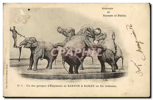 Cartes postales Cirque Barnum & Bailey Un des groupe d&#39elephants Elephant