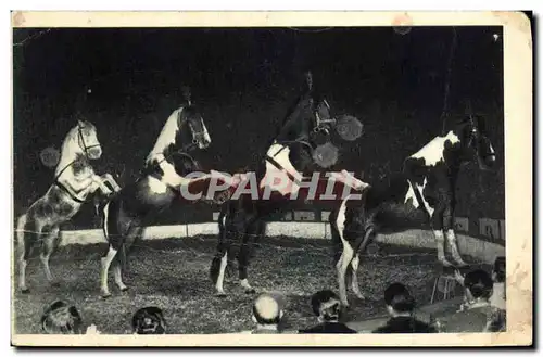 Cartes postales Cirque Radio Circus La pyramide a quatre chevaux Alexis Gruss