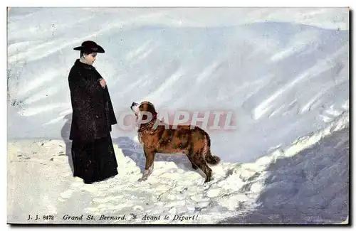 Cartes postales Chien Chiens Grand St Bernard Avant le depart !