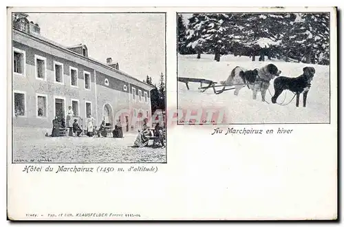 Cartes postales Chien Chiens Hotel du Marchairuz