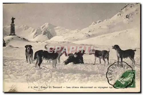 Ansichtskarte AK Chien Chiens Grand St Bernard Les chiens decouvrant un voyageur egare