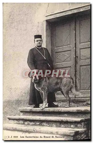 Cartes postales Chien Chiens Les Samaritains du Grand St Bernard