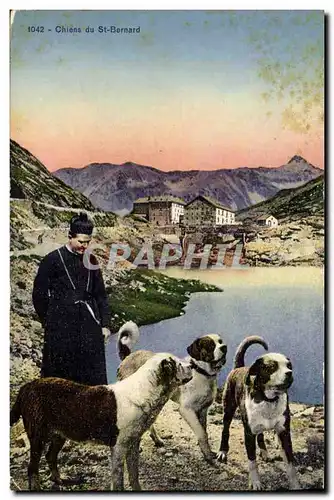 Cartes postales Chien Chiens du St Bernard
